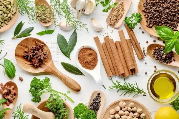 Зачините и билките кои го вкусуваат нашиот живот